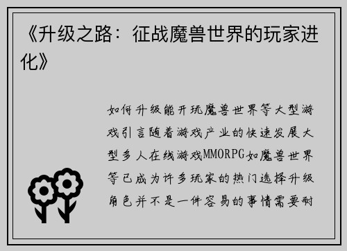 《升级之路：征战魔兽世界的玩家进化》